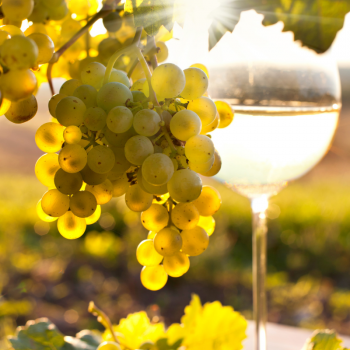 Corton Charlemagne Grand Cru
