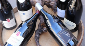 Magnums Millésimes 2015